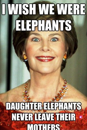 25+] Hillarious Mothers Day Funny Memes 2022