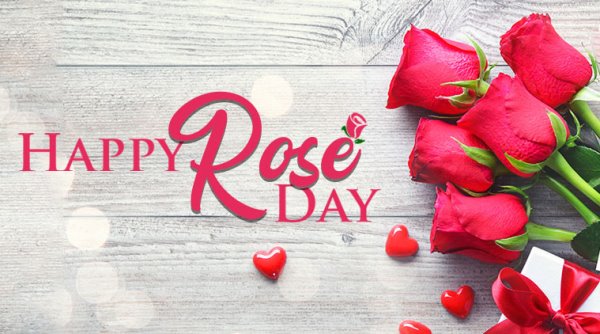 Featured image of post The Best 23 List Rose Day 2021