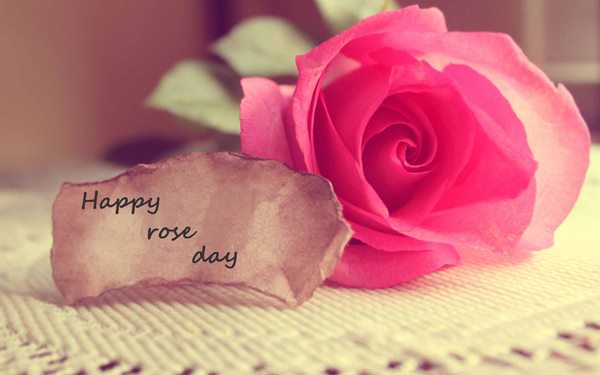 rose day images