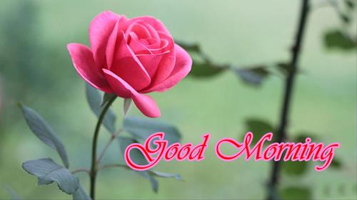 good morning images hd