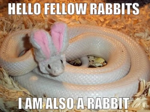 easter funny memes