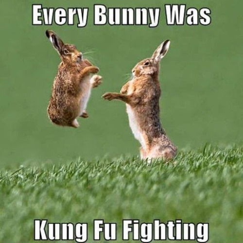 easter funny memes 2020 jokes