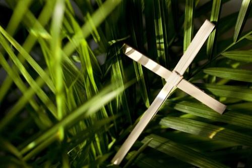 Happy Palm Sunday