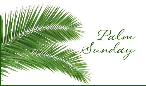 Happy Palm Sunday