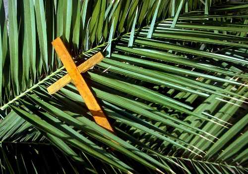 Happy Palm Sunday