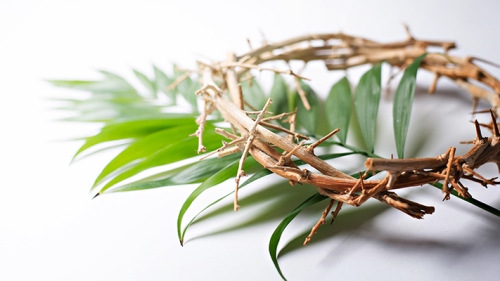 Happy Palm Sunday