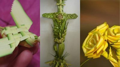 Pictures of palms for Palm Sunday 2020