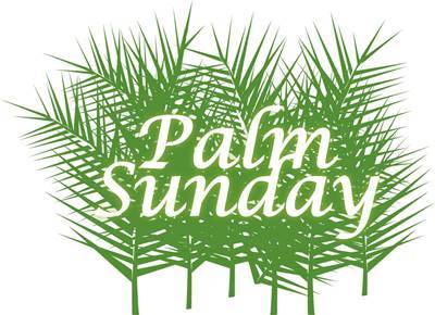 Pictures of palms for Palm Sunday 2020