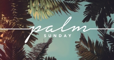 Pictures of palms for Palm Sunday 2020