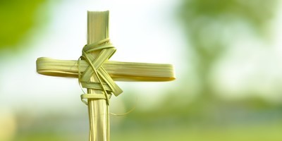 Pictures of palms for Palm Sunday 2020