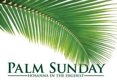 Pictures of palms for Palm Sunday 2020