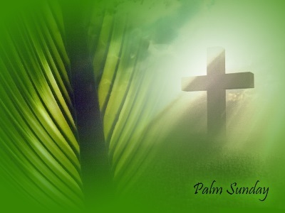 Pictures of palms for Palm Sunday 2020