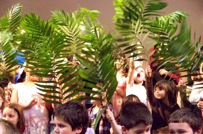 Pictures of palms for Palm Sunday 2020