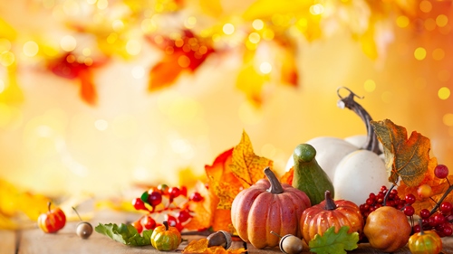 Thanksgiving Zoom Background 