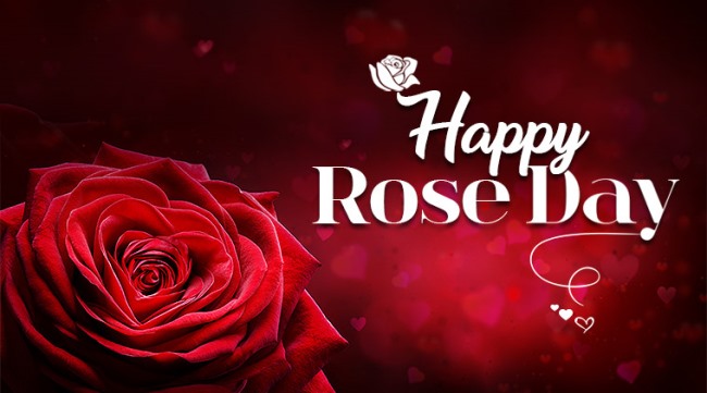 Featured image of post How Many Days In February 2021 Like Rose Day