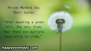 Nelson Mandela Day Short Quotes