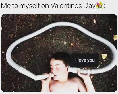 Single On Valentine S Day Memes 2020 Funny Hilarious Valenitnes