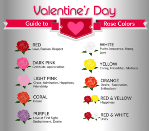 valentines day dress code colours