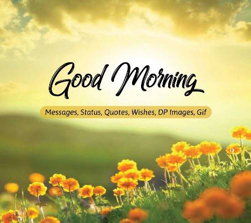 Heart Touching Good Morning Messages | Morning Quotes & Status