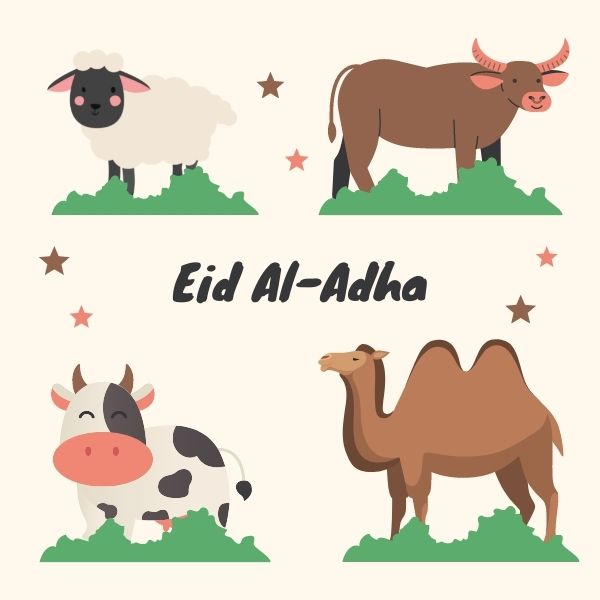 Eid Ul Adha Images 2021 Pictures & Wishes Wallpapers