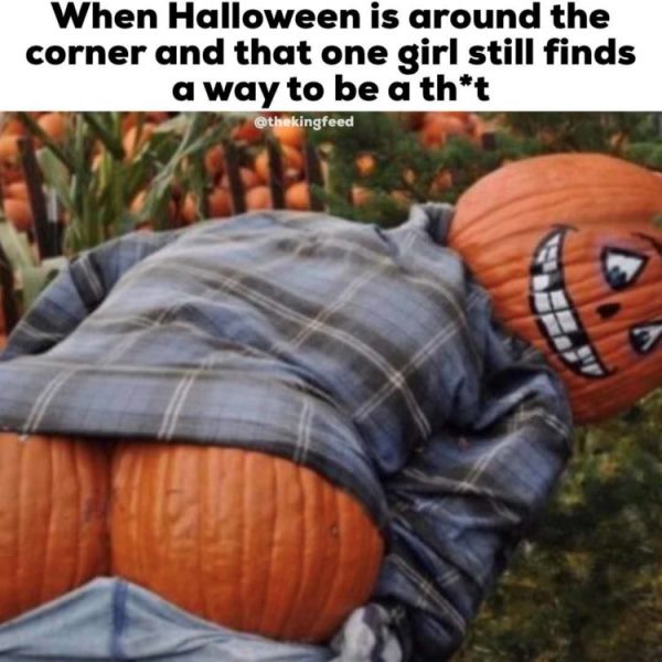 Halloween Memes Pictures