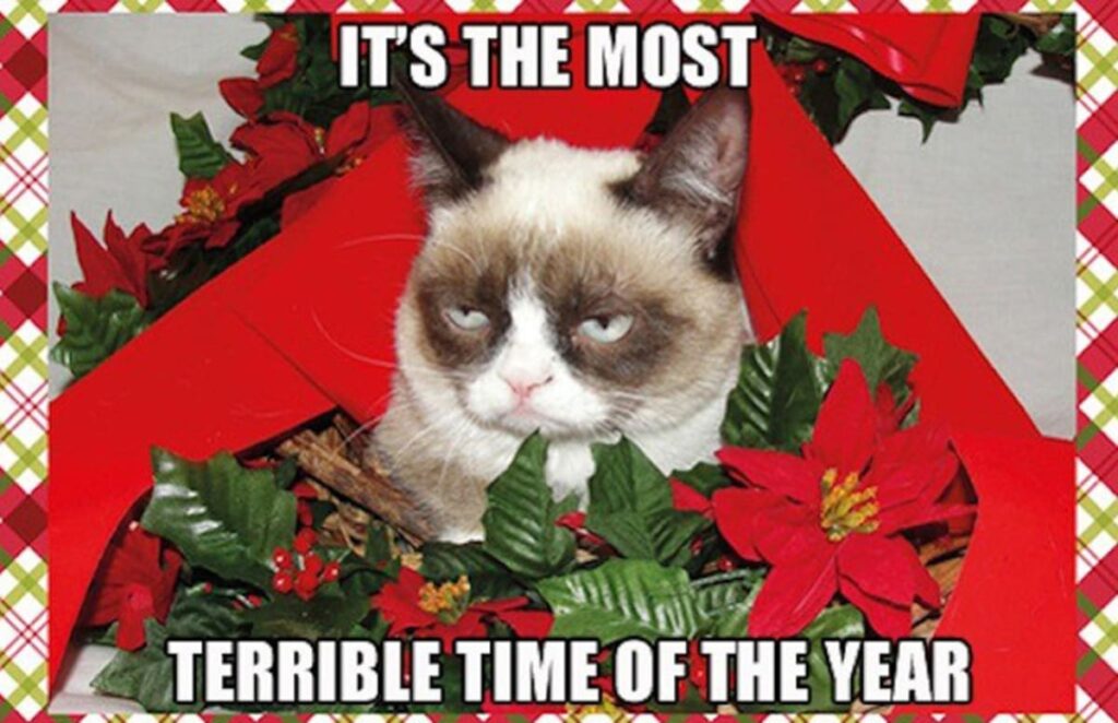 51+ Most Humorous Merry Christmas 2024 Memes that Makes you Laugh