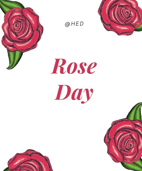 Rose Day Pictures