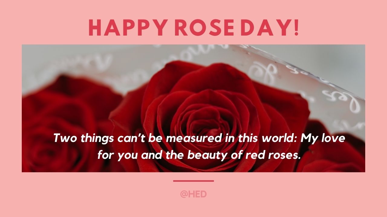Two things can’t be measured in this world: My love for you and the beauty of red roses.