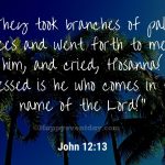 Palm Sunday 2022 Quotes From the Bible | Palm Sunday Wishes Images 2022