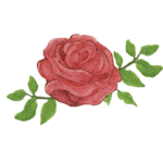 free rose clipart