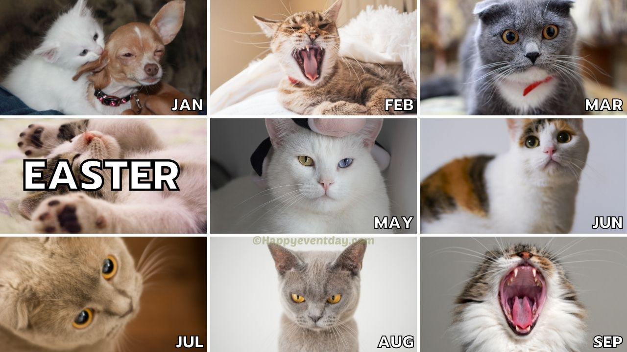 Happy Easter Memes 2022, Funny Easter Sunday Memes & Jokes